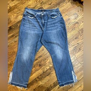 Judy Blue Plus Size Jeans